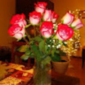 Meet your Posher, Tammy jo